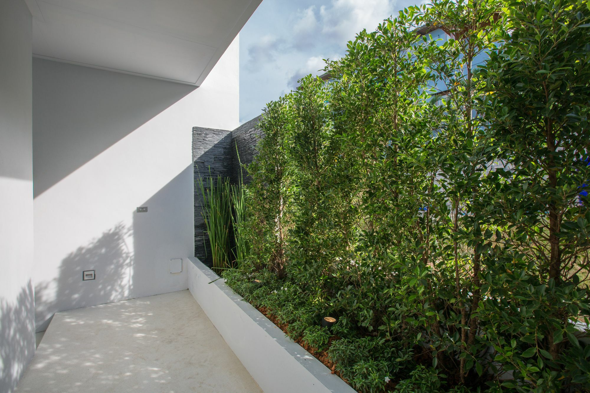 Villa Dahlia Бофут Екстериор снимка